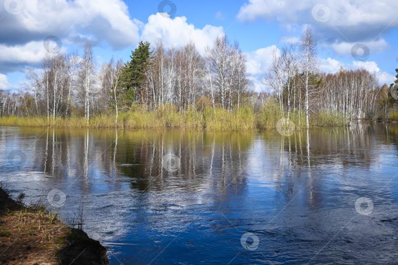 Скачать Лесная река в мае. фотосток Ozero