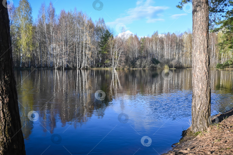 Скачать Лесная река в мае. фотосток Ozero