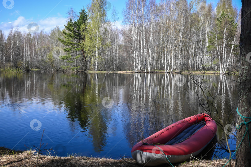 Скачать Лесная река в мае. фотосток Ozero