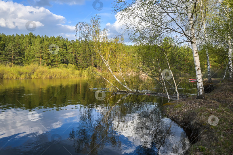 Скачать Лесная река в мае. фотосток Ozero