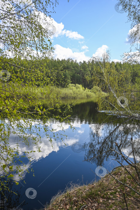 Скачать Лесная река в мае. фотосток Ozero