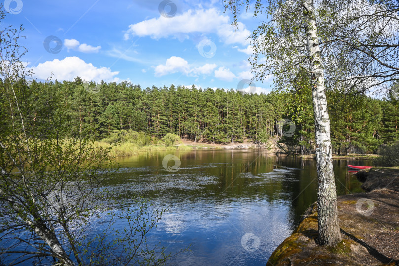 Скачать Лесная река в мае. фотосток Ozero