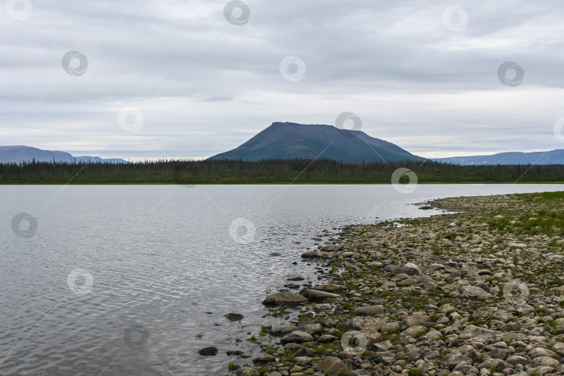 Скачать Плато Путорана. Гора Сундук на озере Глубоком. фотосток Ozero