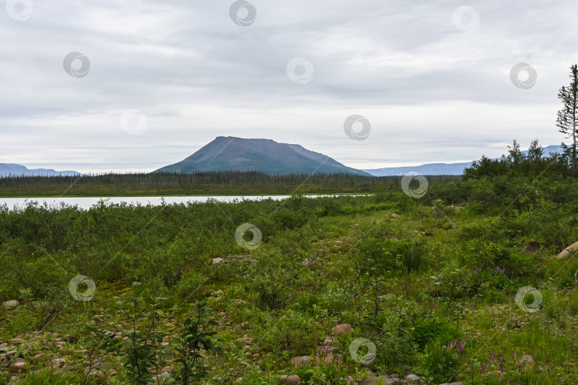 Скачать Плато Путорана. Гора Сундук на озере Глубоком. фотосток Ozero