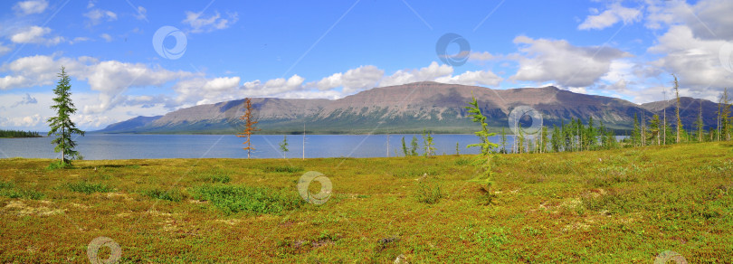 Скачать Панорама горных озер на плато Путорана. фотосток Ozero