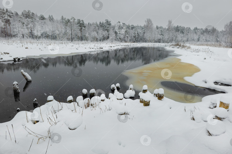 Скачать Удивительный зимний пейзаж с рекой в лесу. фотосток Ozero