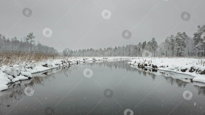 Скачать зимний панорамный пейзаж реки в лесу фотосток Ozero