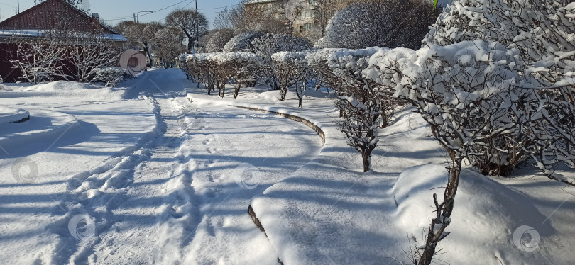 Скачать Заснеженный тротуар в городе фотосток Ozero