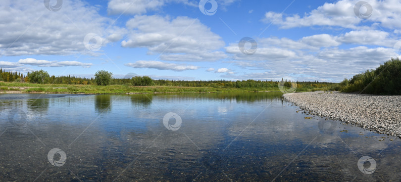 Скачать Летняя панорама Северной таежной реки. фотосток Ozero