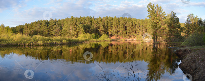 Скачать Панорама лесной реки весной. фотосток Ozero