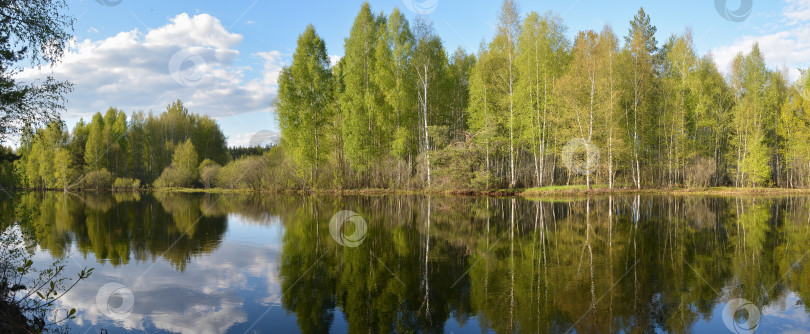 Скачать Панорама лесной реки весной. фотосток Ozero