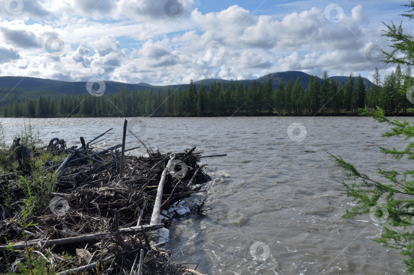 Скачать Завал из бревен на реке Сунтар. фотосток Ozero