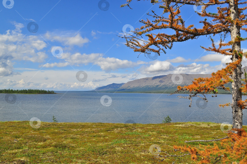 Скачать Горное озеро на плато Путорана. фотосток Ozero