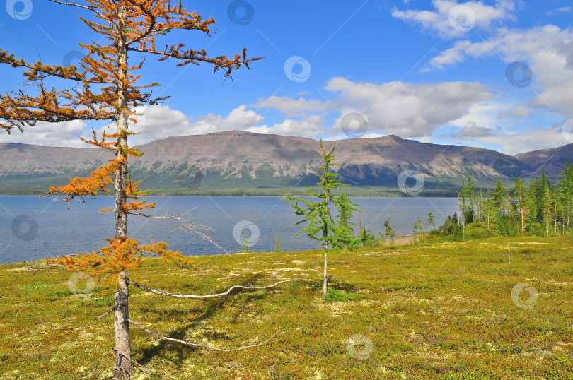 Скачать Горное озеро на плато Путорана. фотосток Ozero