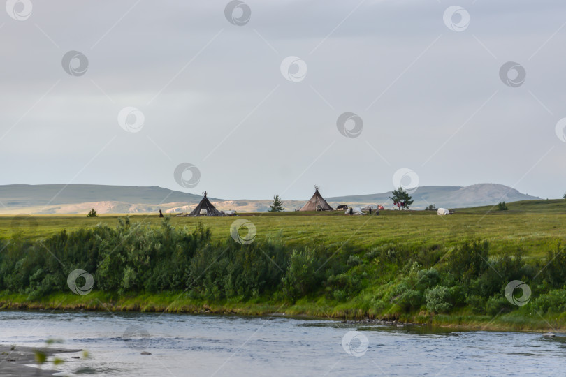 Скачать Лагерь оленеводов в природном парке Полярного Урала. фотосток Ozero