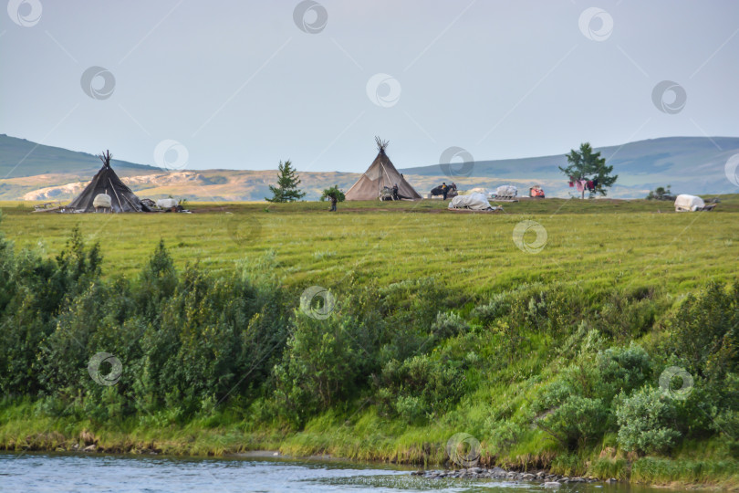 Скачать Лагерь оленеводов в природном парке Полярного Урала. фотосток Ozero