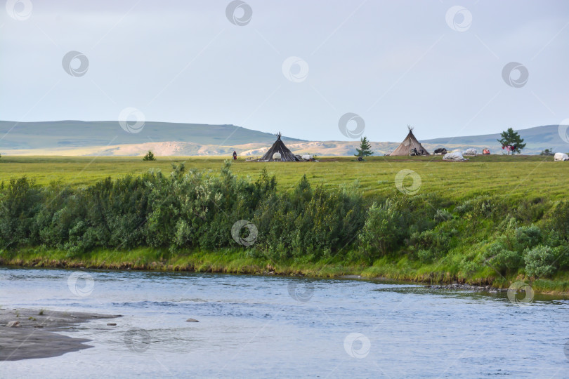 Скачать Лагерь оленеводов в природном парке Полярного Урала. фотосток Ozero