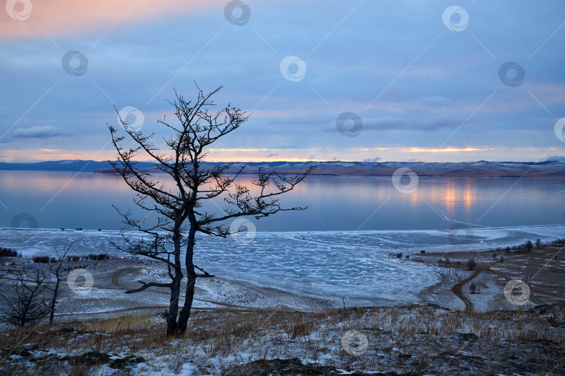 Скачать Озеро Байкал зимой на рассвете. фотосток Ozero