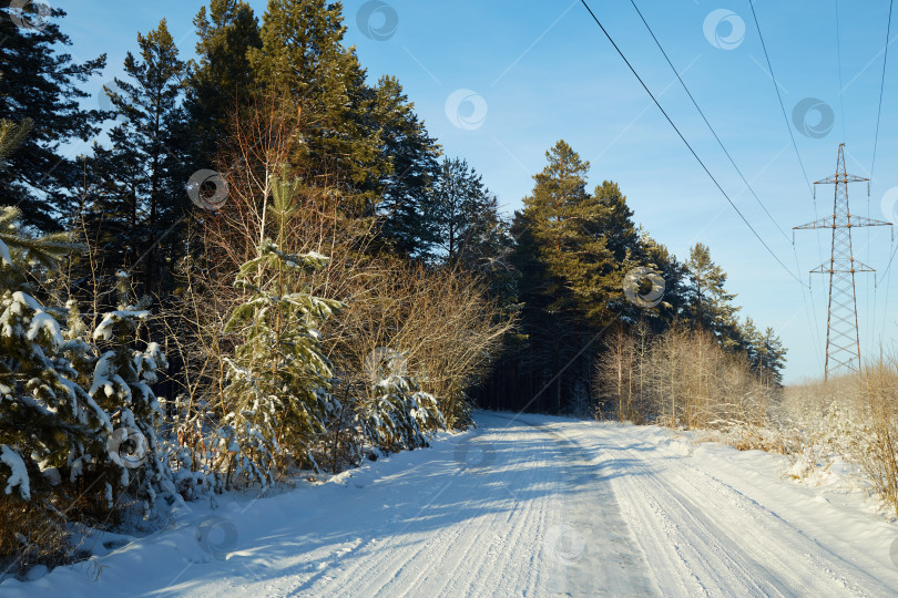 Скачать Красивая дорога через зимний заснеженный лес фотосток Ozero