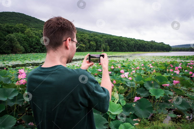 Скачать Молодой человек в очках фотографирует яркие розовые цветы лотоса на смартфон. Он стоит на берегу тихого озера, окруженного пышной зеленью, на Дальнем Востоке России фотосток Ozero