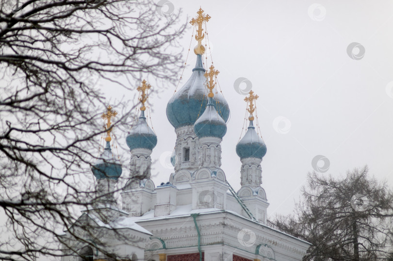 Скачать Голубые купола православной церкви Пресвятой Богородицы на фоне зимнего неба фотосток Ozero