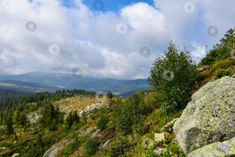 Скачать Горы, туман, горный пейзаж, Ергаки, лето, мегалиты, горная тайга фотосток Ozero