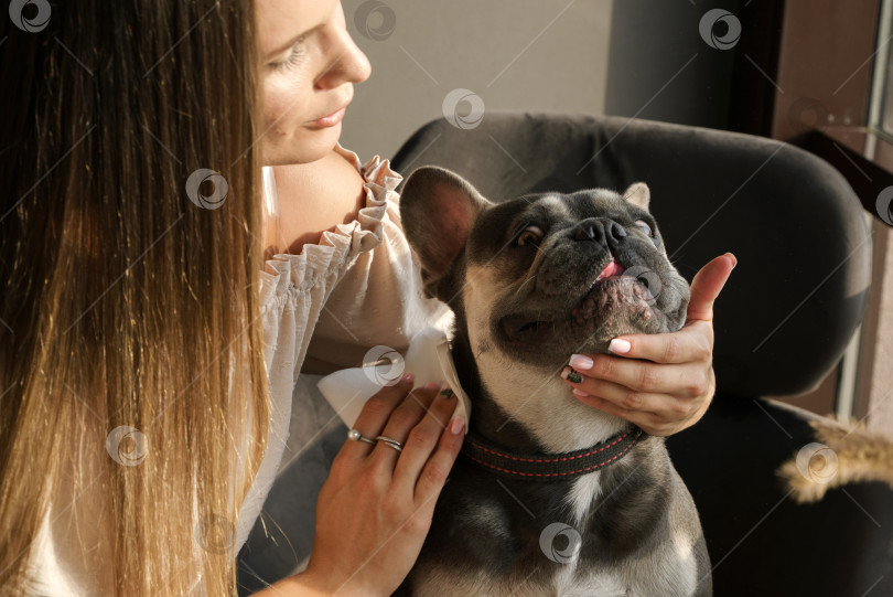 Скачать Заботливая хозяйка вытирает рот своей собаке фотосток Ozero