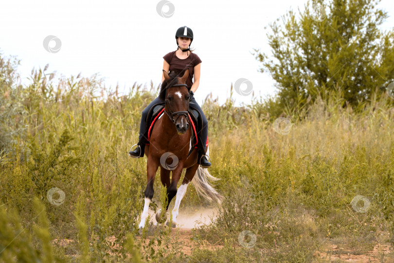 Скачать Девушка скачет галопом на лошади породы пинто по полю фотосток Ozero