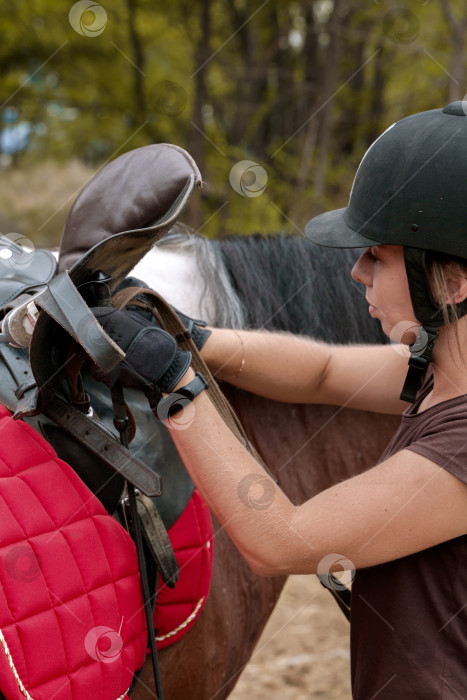 Скачать Девушка седлает лошадь фотосток Ozero