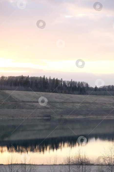 Скачать Весенний закат в лесу фотосток Ozero