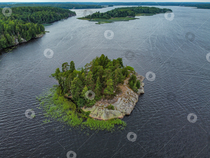 Скачать Остров Любви в парке Монрепо, вид с высоты. фотосток Ozero