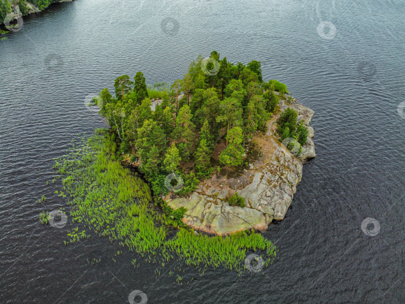 Скачать Остров Любви в парке Монрепо, вид с высоты. фотосток Ozero