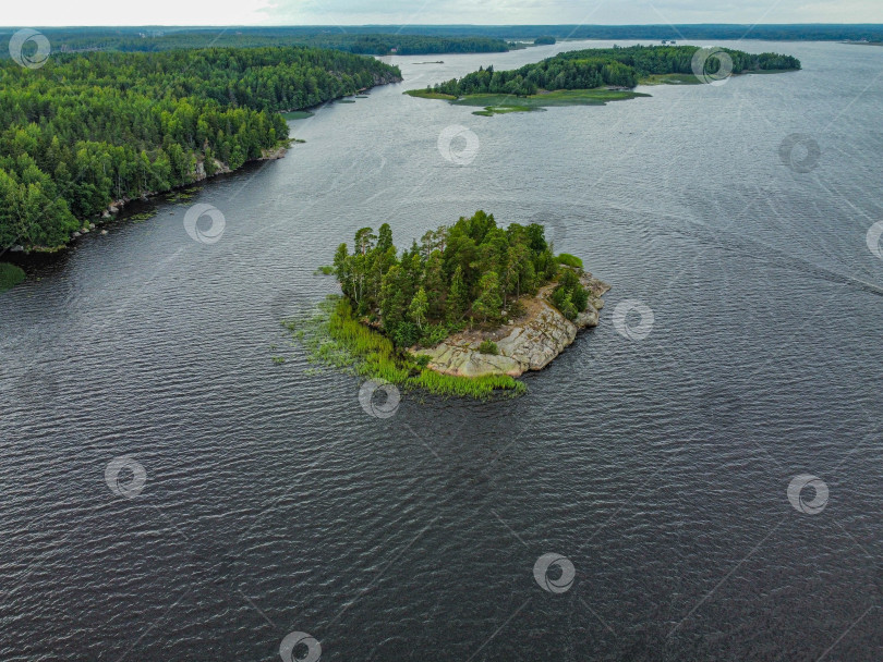 Скачать Остров Любви в парке Монрепо, вид с высоты. фотосток Ozero