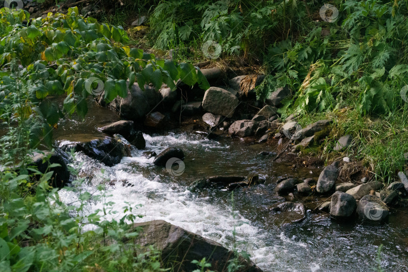 Скачать Горная река течет по скалам фотосток Ozero