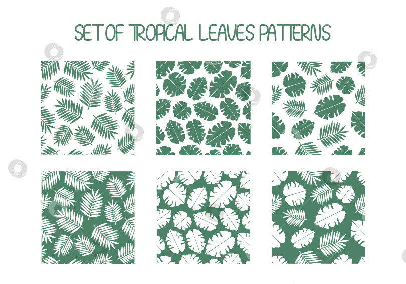 Скачать Набор бесшовных паттернов с тропическими листьями на белом и зеленом фонах фотосток Ozero