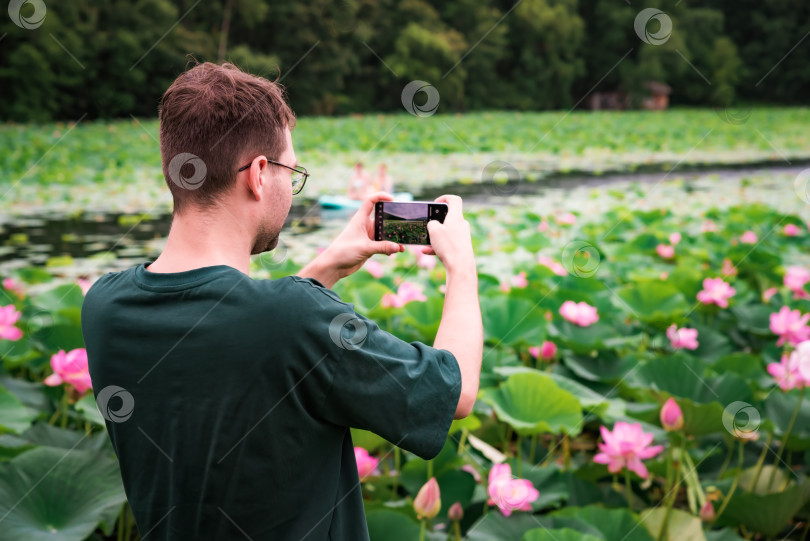 Скачать Русский мужчина фотографирует цветы лотоса Комарова на озере в Приморском крае, Дальний Восток России. Основное внимание уделяется технологиям, современной фотографии и красоте природы фотосток Ozero