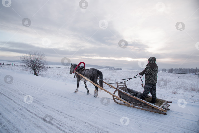 Скачать Лошадиная повозка. фотосток Ozero