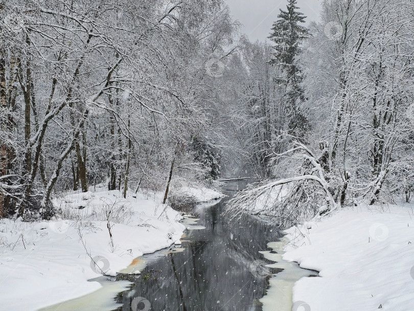 Скачать Удивительный зимний пейзаж с рекой в лесу. фотосток Ozero