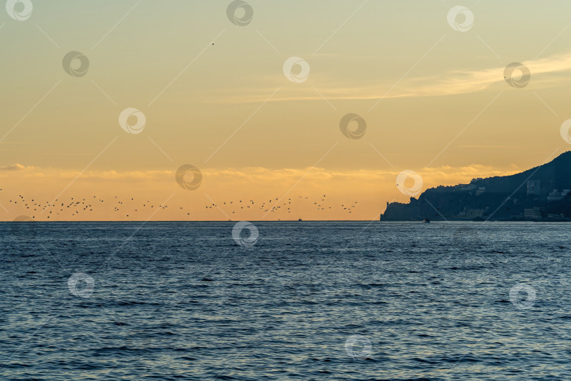 Скачать Вид на море с Ялтинского побережья фотосток Ozero