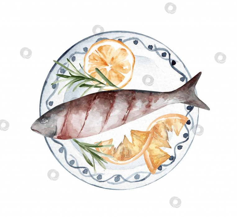 Скачать Форель с лимоном и розмарином на керамической тарелке. акварельная иллюстрация, нарисованная от руки фотосток Ozero