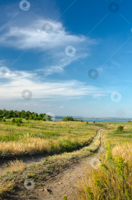 Скачать проселочная дорога. Поле, дорога, группа деревьев. фотосток Ozero