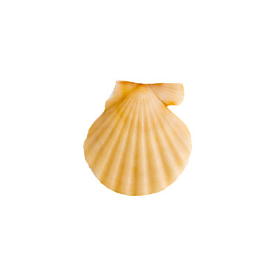 [object Object] undefined