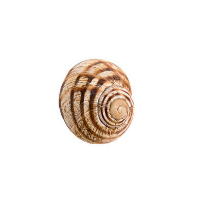 [object Object] undefined