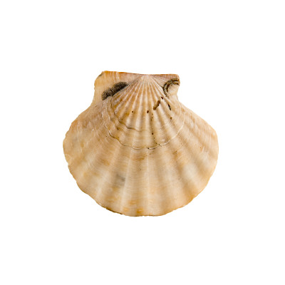 [object Object] undefined