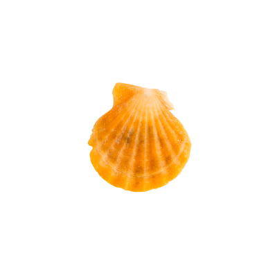 [object Object] undefined