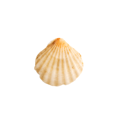 [object Object] undefined