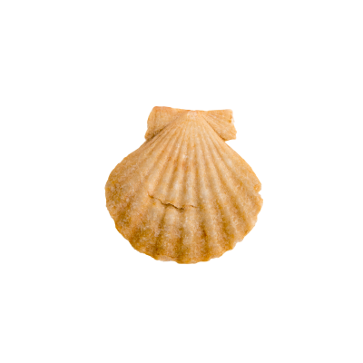 [object Object] undefined