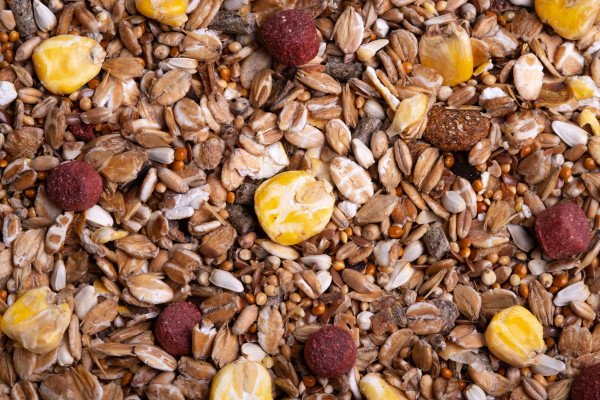 [object Object] undefined