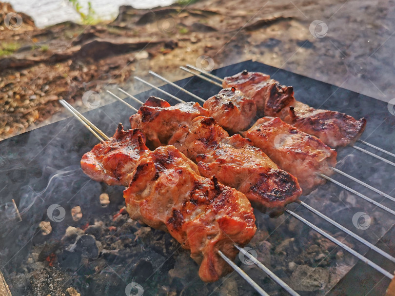 Скачать Жарьте мясо на вертеле на открытом огне на живописном берегу реки солнечным днем фотосток Ozero