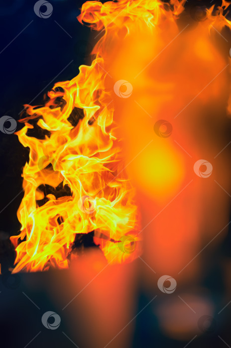 Скачать Языки пламени костра на темном фоне фотосток Ozero